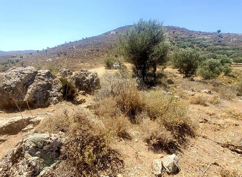 Plot for sale in Pombia South Crete