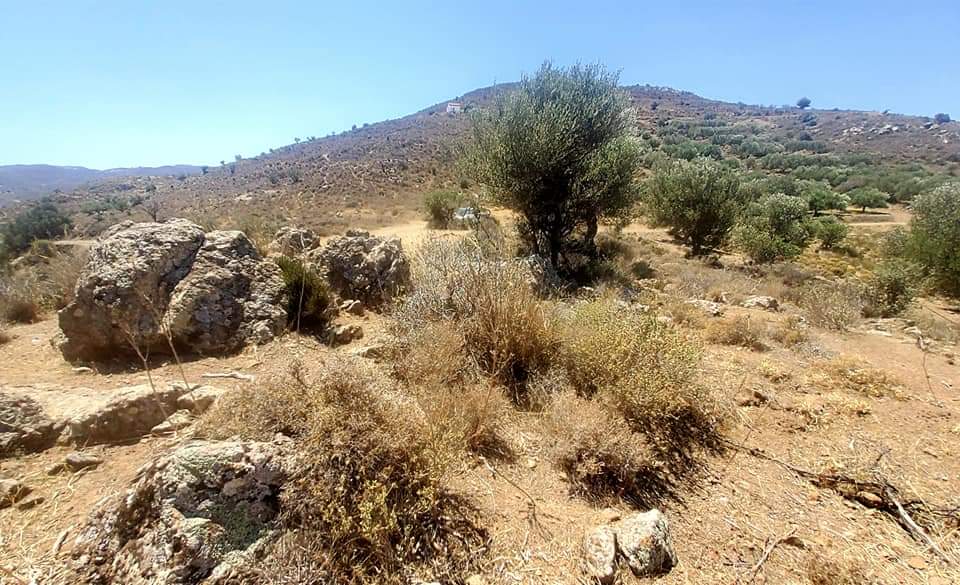 Plot for sale in Pombia South Crete