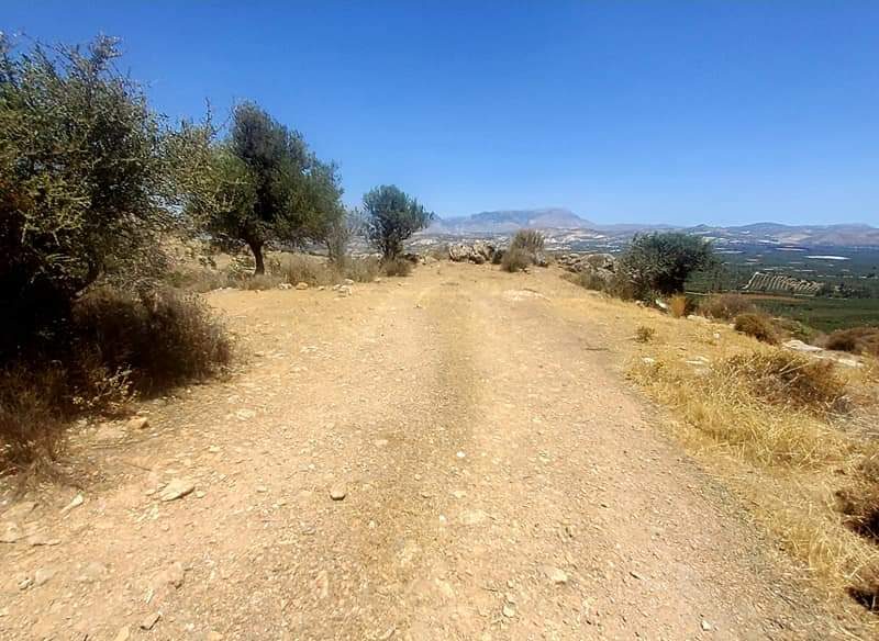 Plot for sale in Pombia South Crete