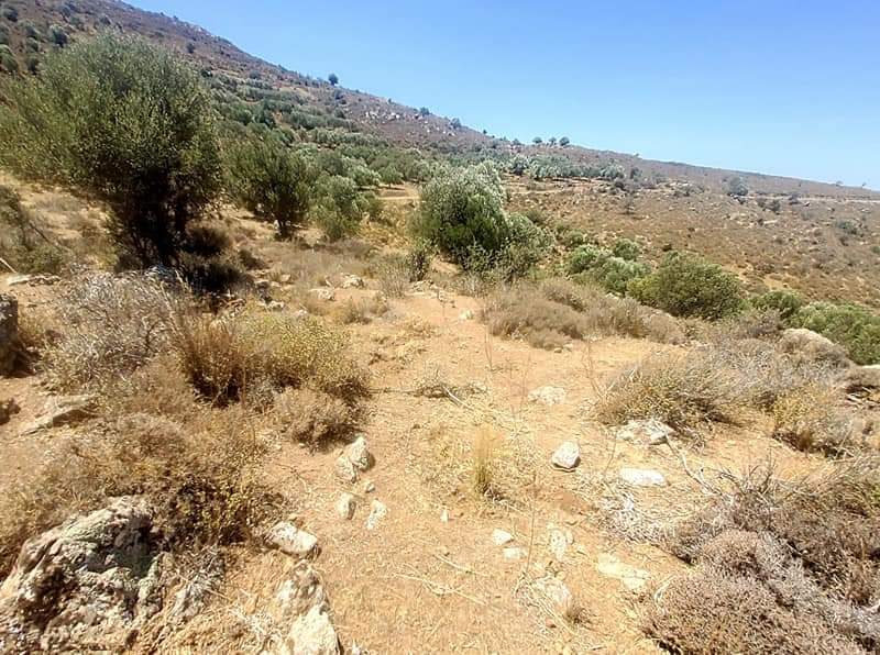 Plot for sale in Pombia South Crete