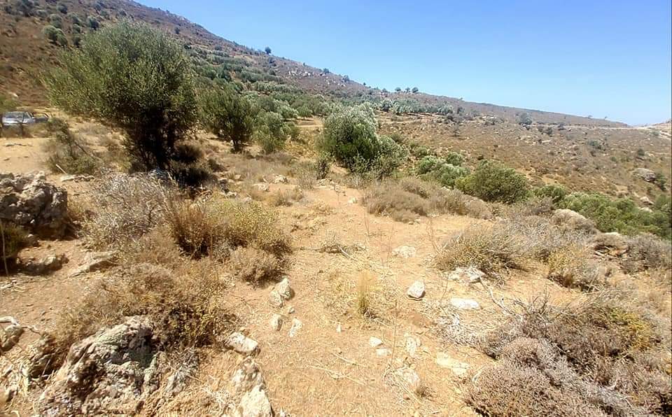 Plot for sale in Pombia South Crete
