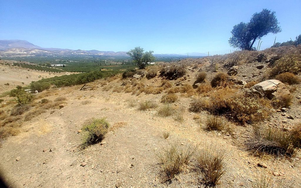 Plot for sale in Pombia South Crete