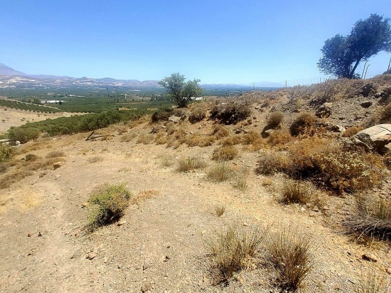 Plot for sale in Pombia South Crete