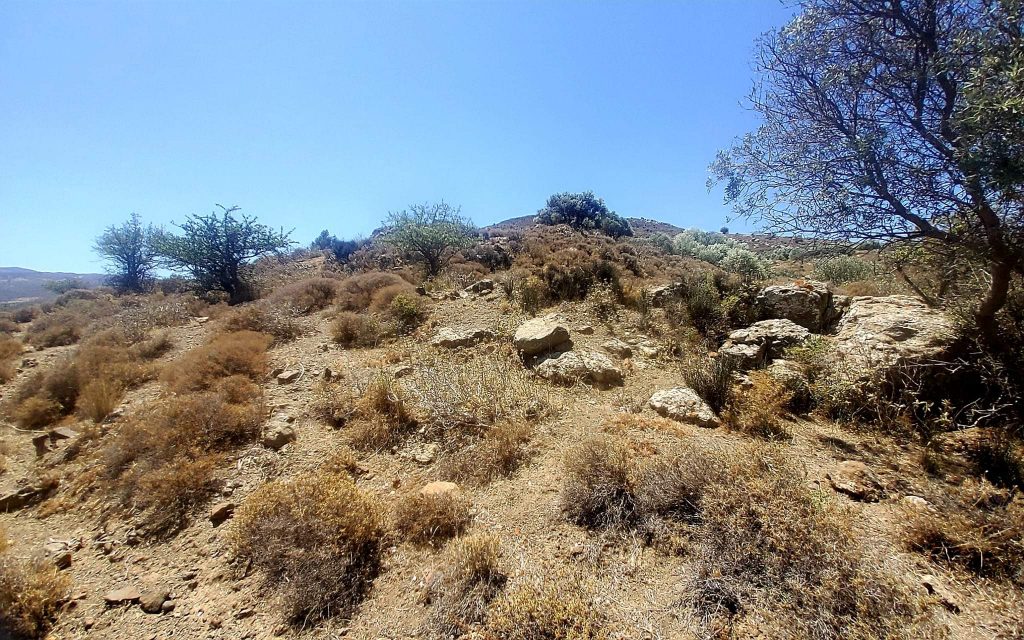 Plot for sale in Pombia South Crete