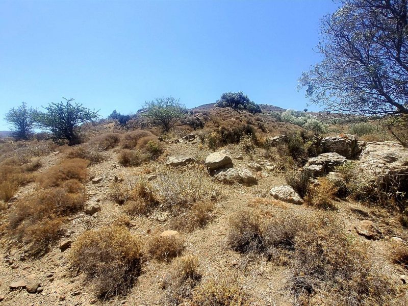 Plot for sale in Pombia South Crete