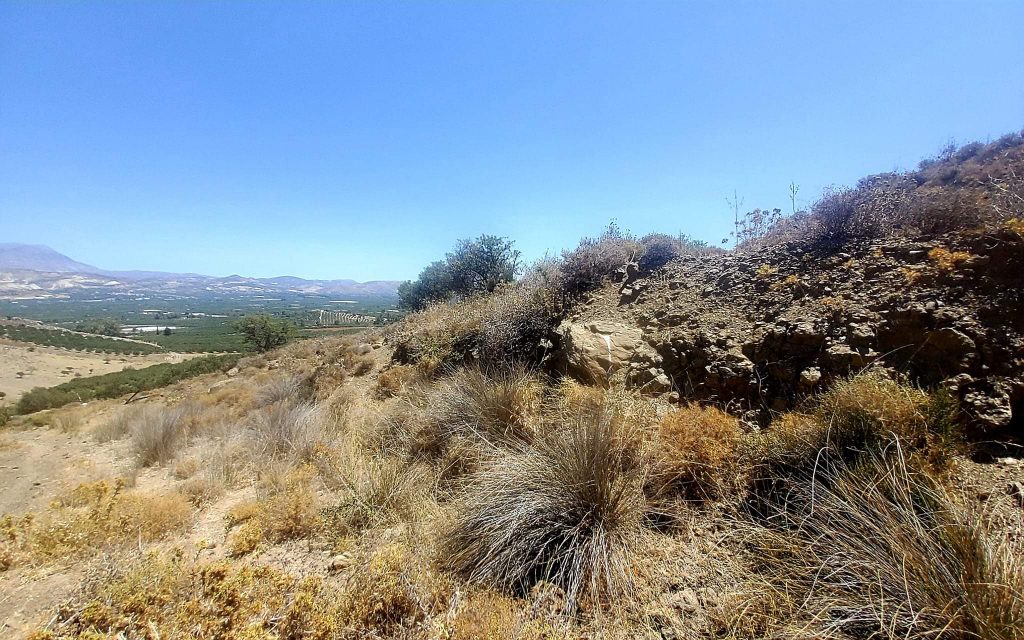 Plot for sale in Pombia South Crete