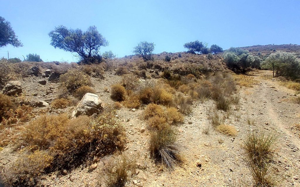 Plot for sale in Pombia South Crete