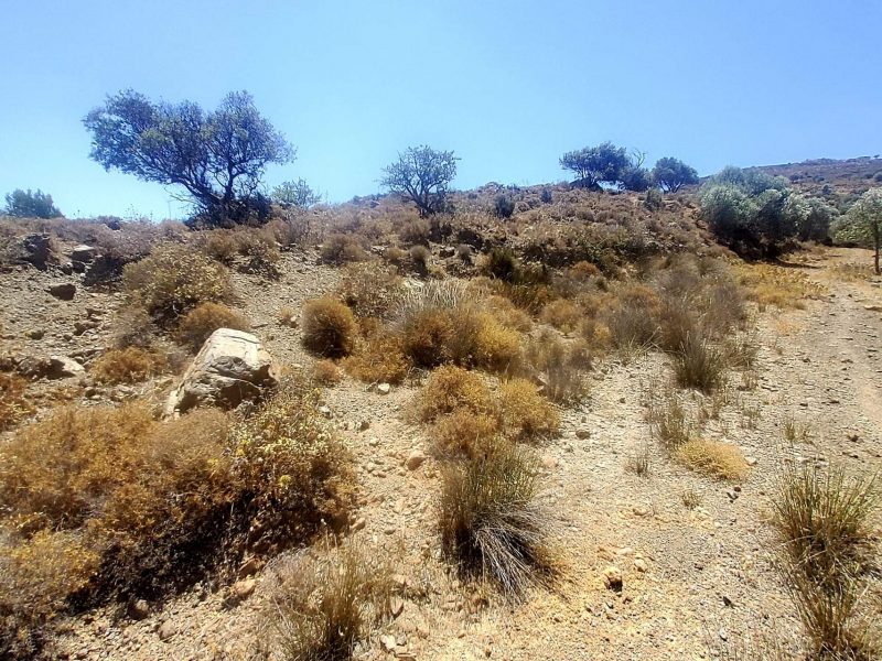 Plot for sale in Pombia South Crete