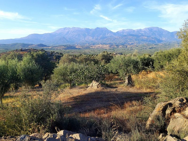 Plot for sale in Pombia South Crete