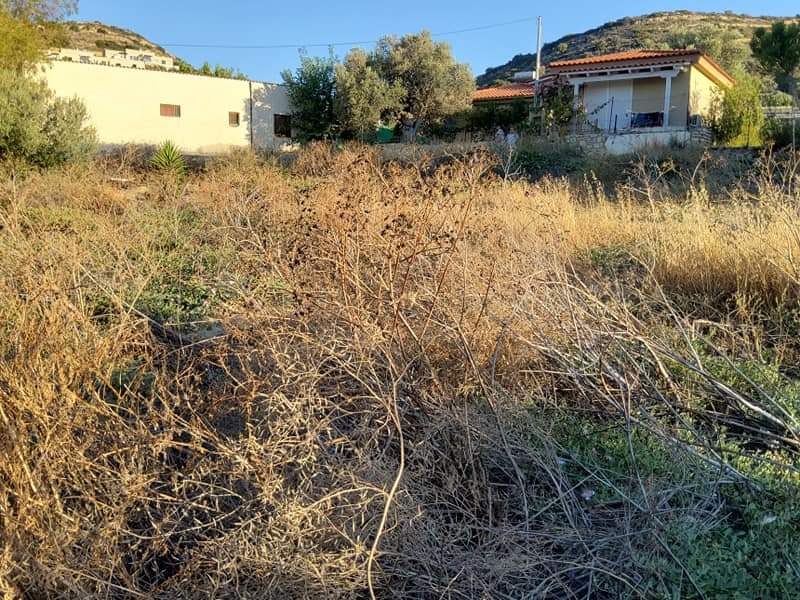 Plot for sale in Pitsidia South Crete City Plan No2