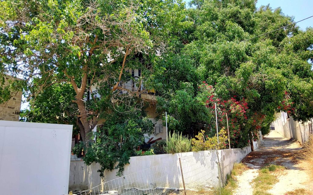 Building for sale inside Pitsidia South Crete
