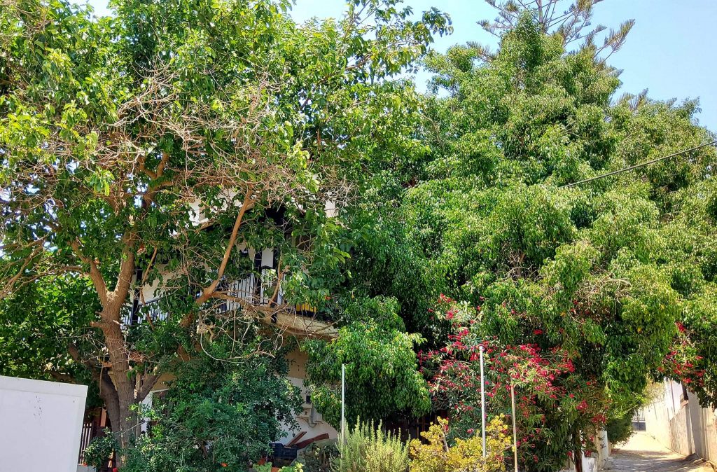 Building for sale inside Pitsidia South Crete