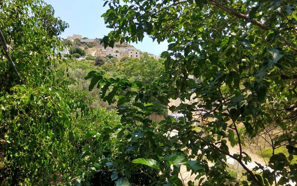 Building for sale inside Pitsidia South Crete