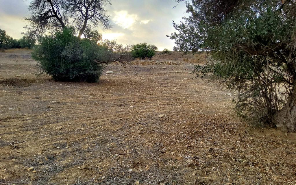 Plot for sale in Sivas South Crete No1