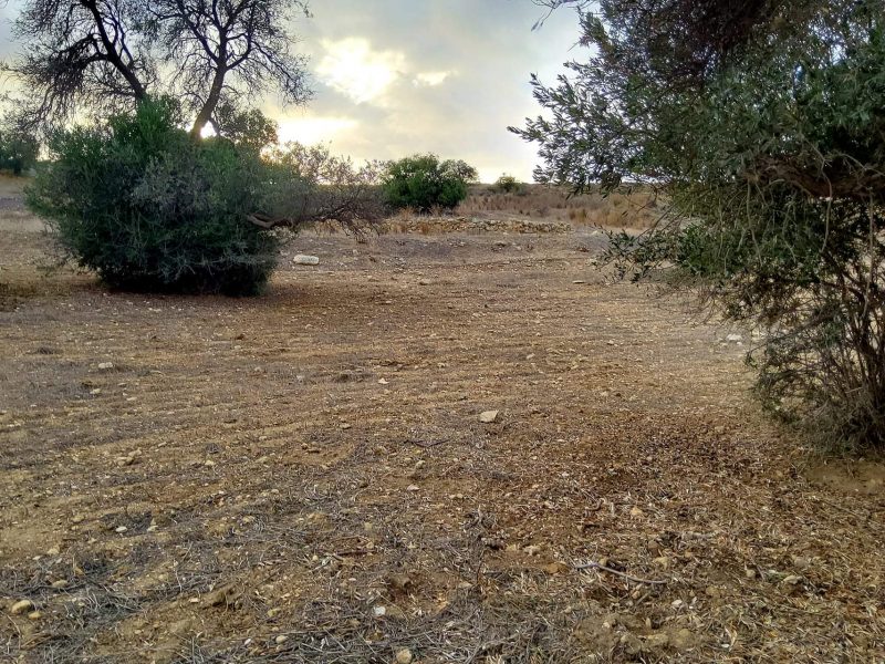 Plot for sale in Sivas South Crete No1