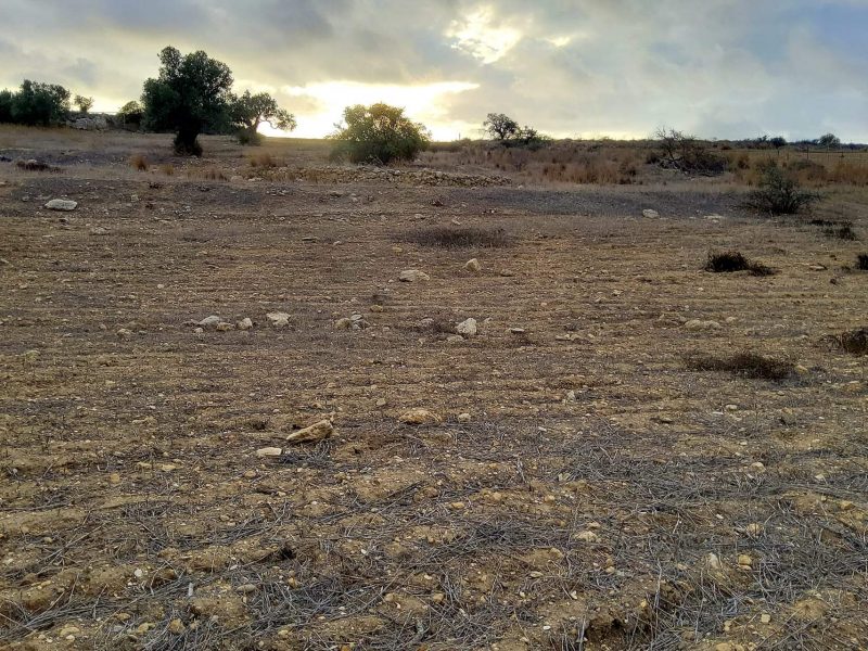 Plot for sale in Sivas South Crete No1