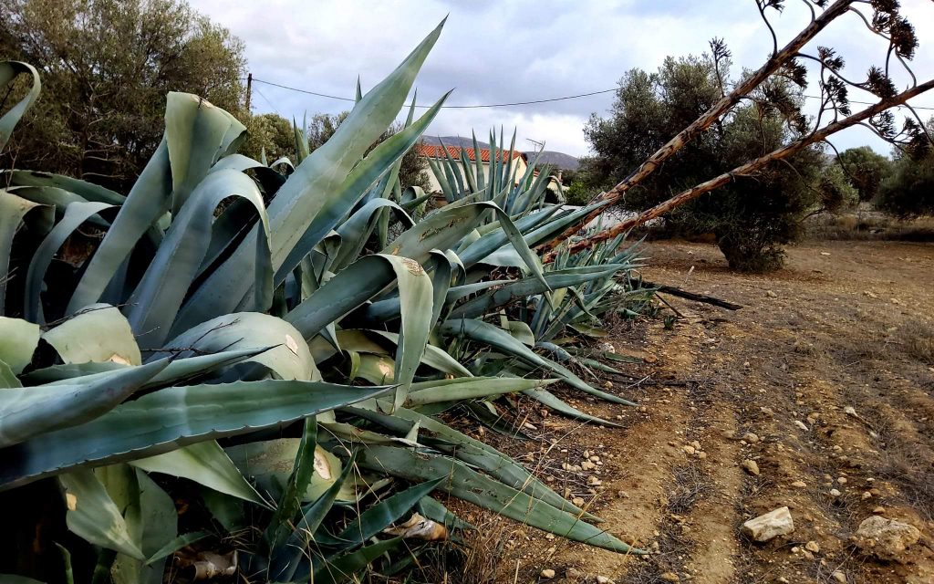 Plot for sale in Sivas South Crete No1