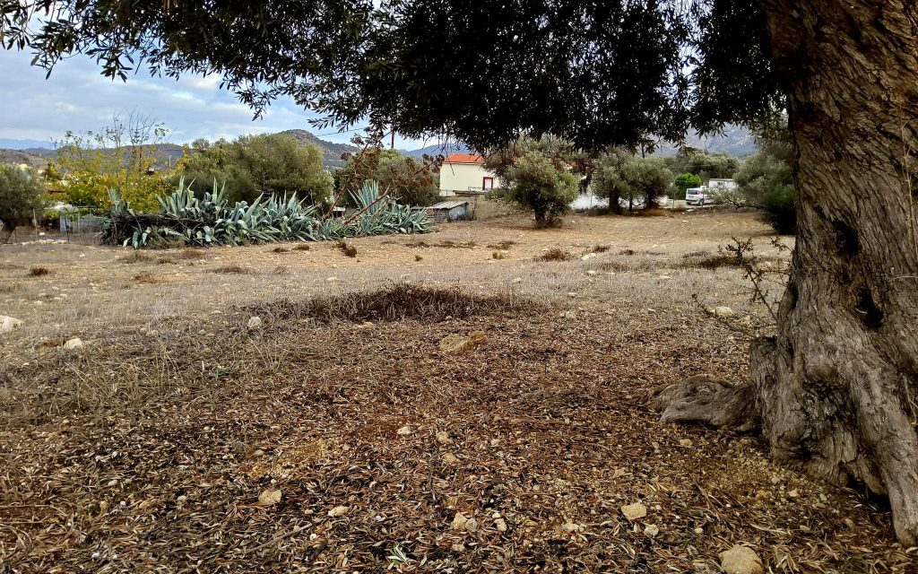 Plot for sale in Sivas South Crete No1