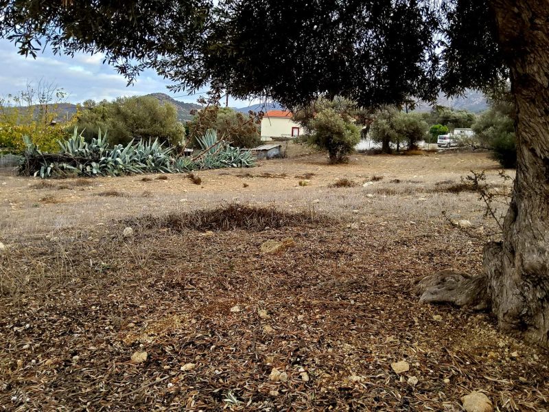 Plot for sale in Sivas South Crete No1