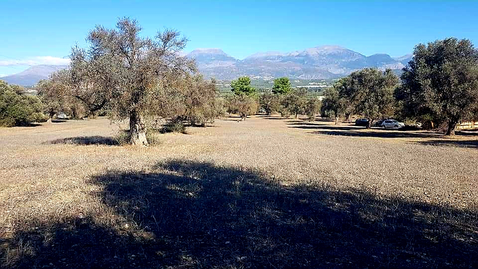 Big Plot for sale at Petrokefali South Crete
