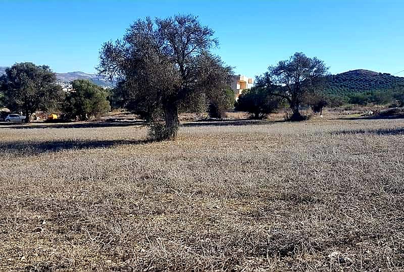 Big Plot for sale at Petrokefali South Crete