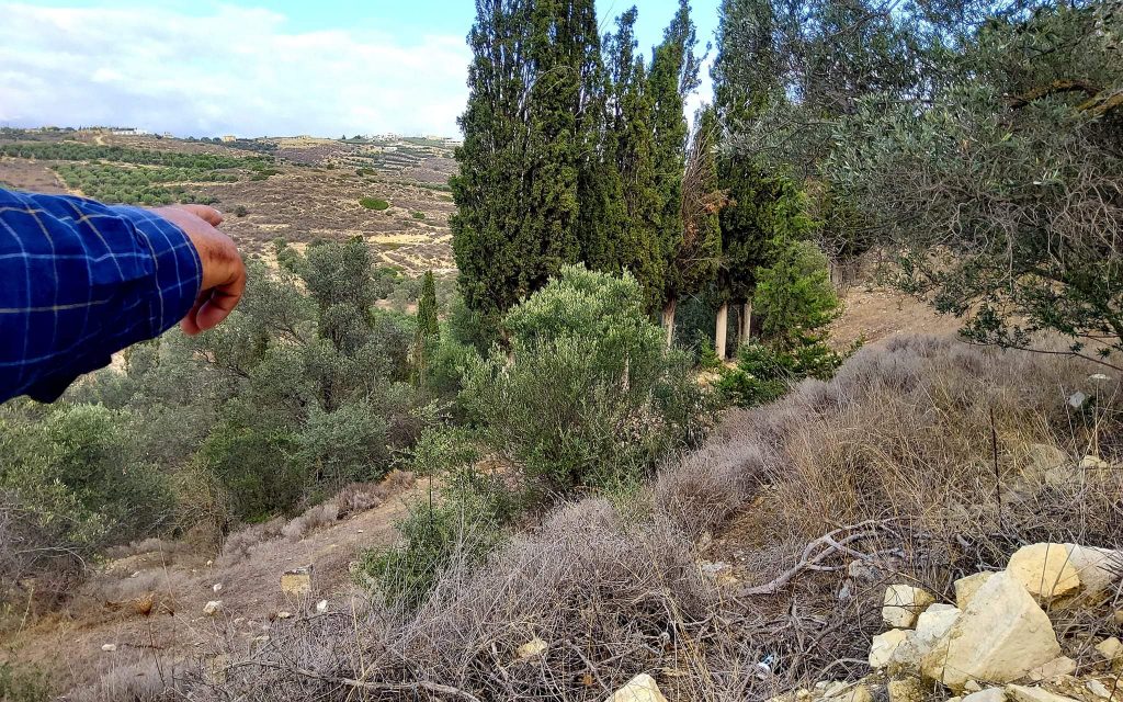 Big Plot for sale in Pitsidia South Crete
