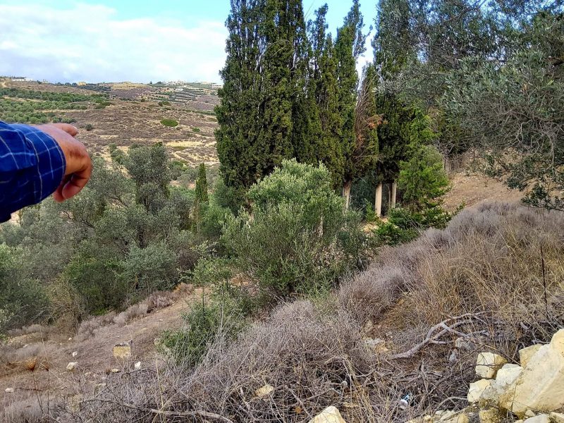 Big Plot for sale in Pitsidia South Crete