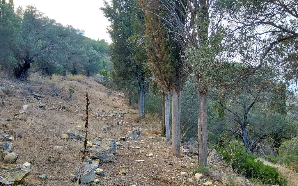 Big Plot for sale in Pitsidia South Crete