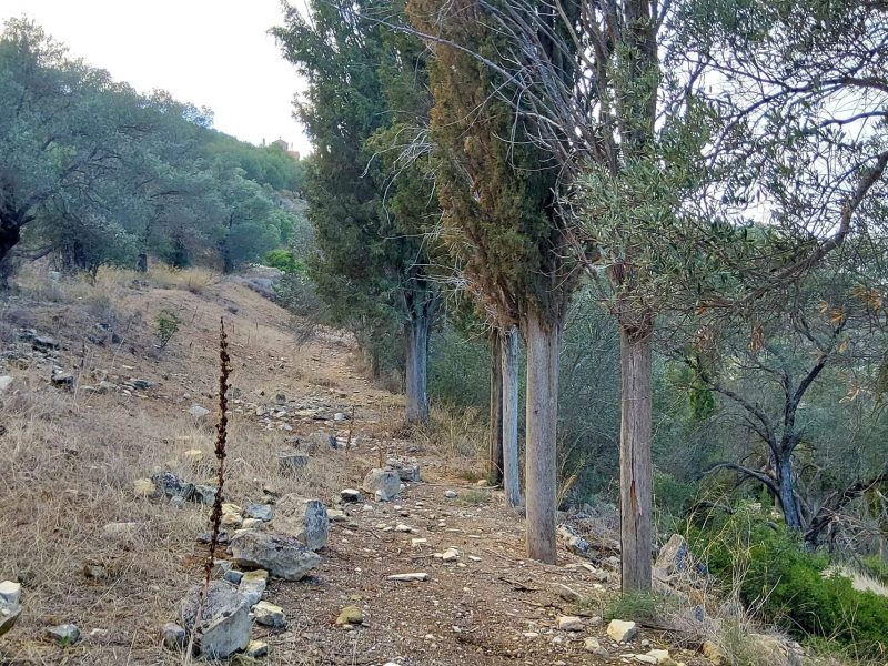 Big Plot for sale in Pitsidia South Crete