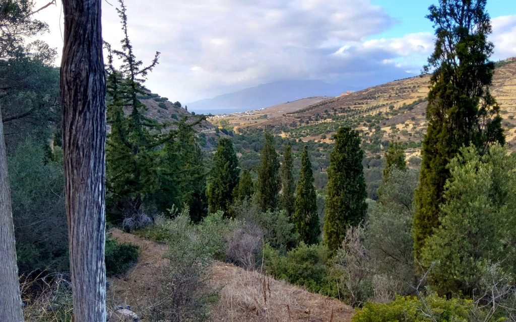 Big Plot for sale in Pitsidia South Crete