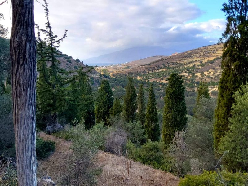 Big Plot for sale in Pitsidia South Crete