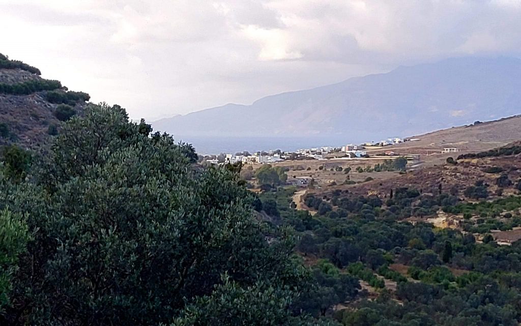 Big Plot for sale in Pitsidia South Crete