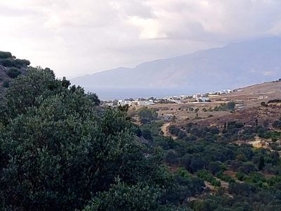 Big Plot for sale in Pitsidia South Crete