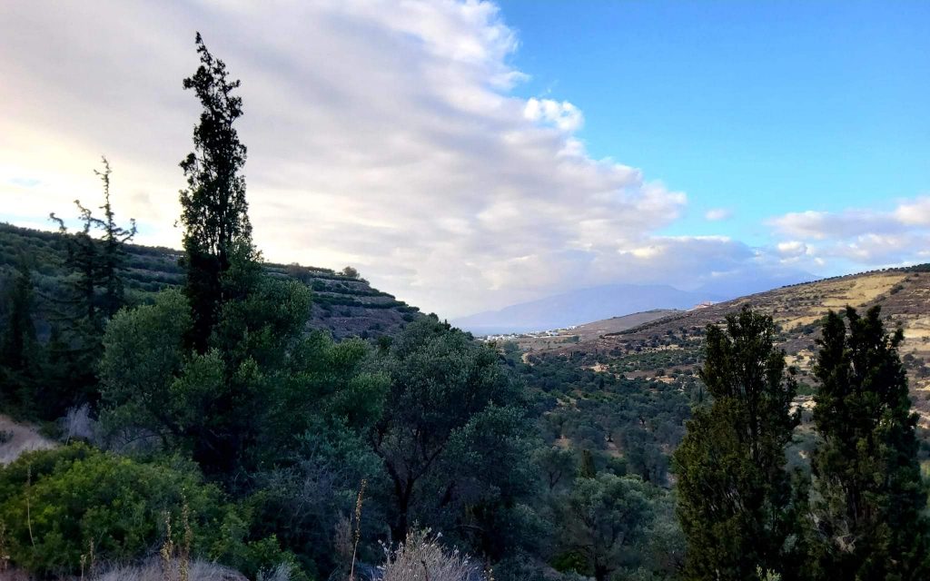 Big Plot for sale in Pitsidia South Crete
