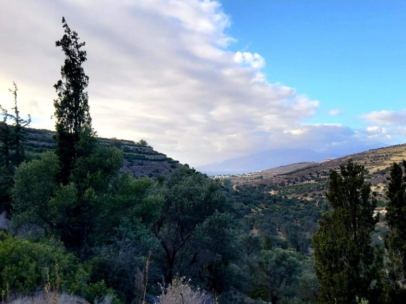 Big Plot for sale in Pitsidia South Crete