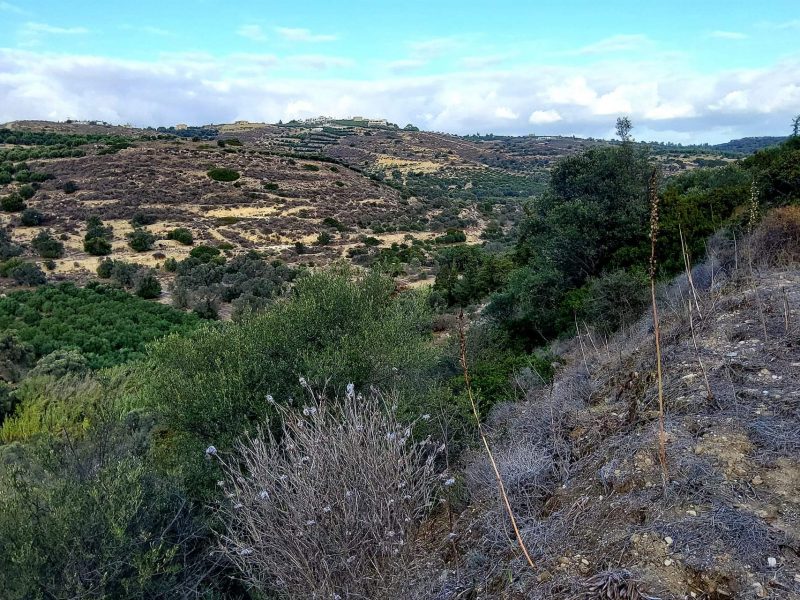 Big Plot for sale in Pitsidia South Crete