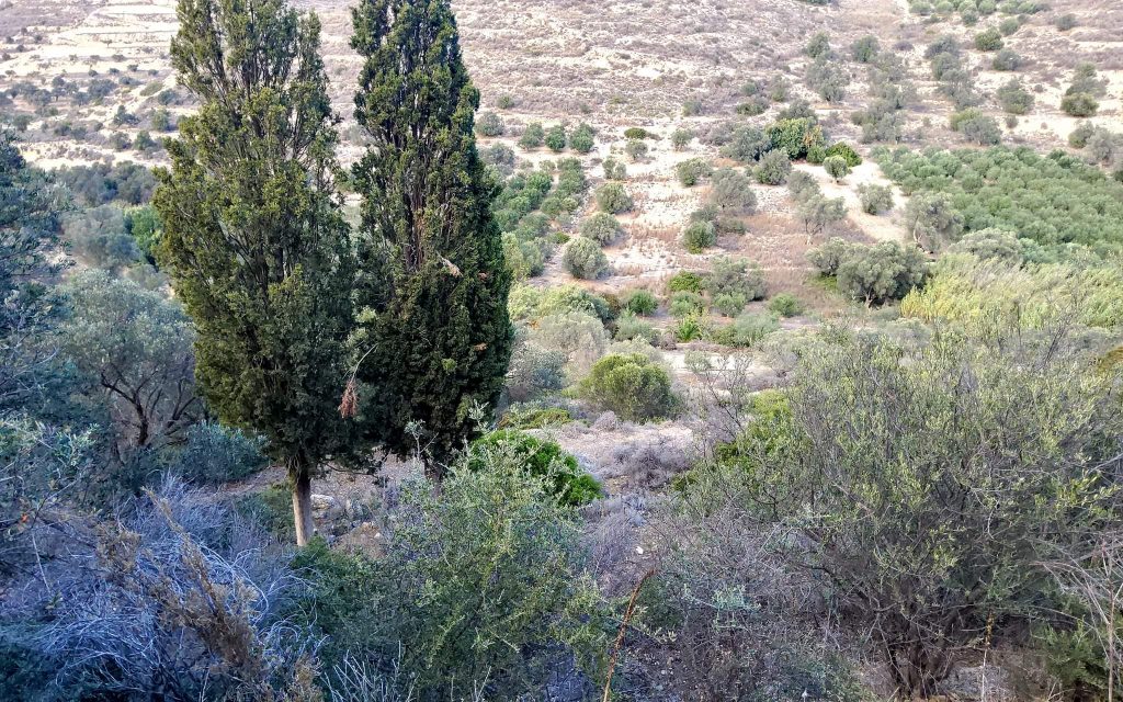 Big Plot for sale in Pitsidia South Crete
