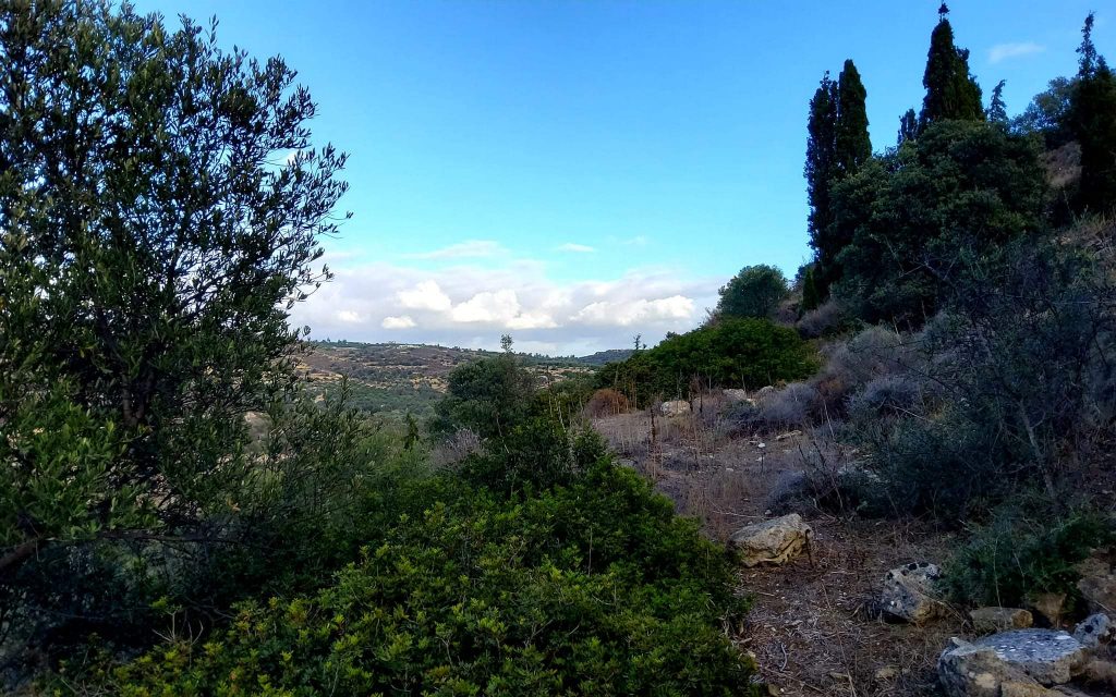 Big Plot for sale in Pitsidia South Crete