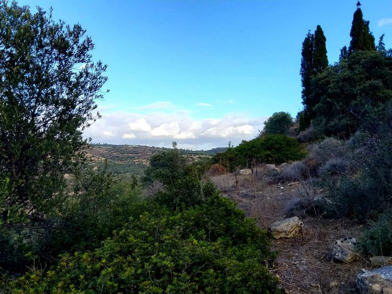 Big Plot for sale in Pitsidia South Crete