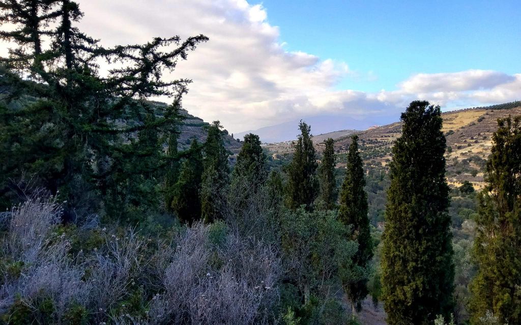 Big Plot for sale in Pitsidia South Crete