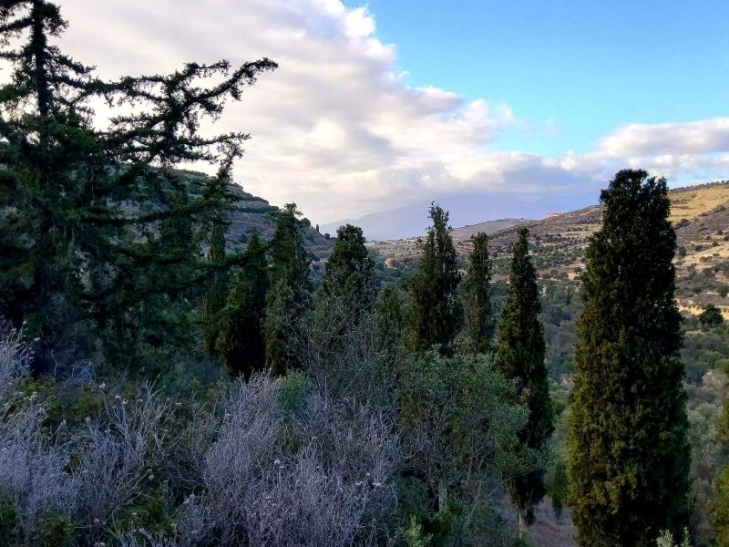 Big Plot for sale in Pitsidia South Crete