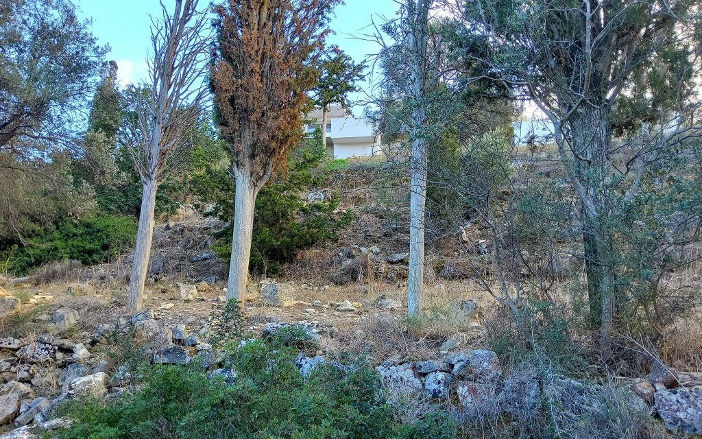 Big Plot for sale in Pitsidia South Crete