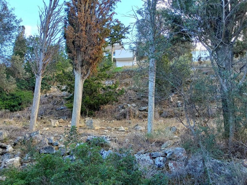 Big Plot for sale in Pitsidia South Crete