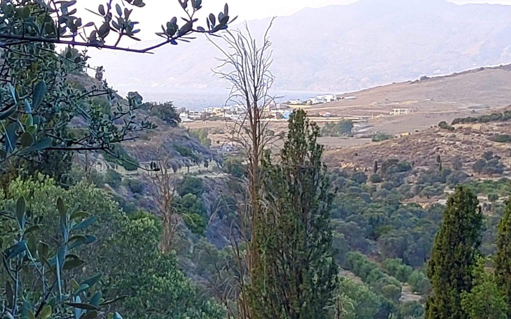 Big Plot for sale in Pitsidia South Crete