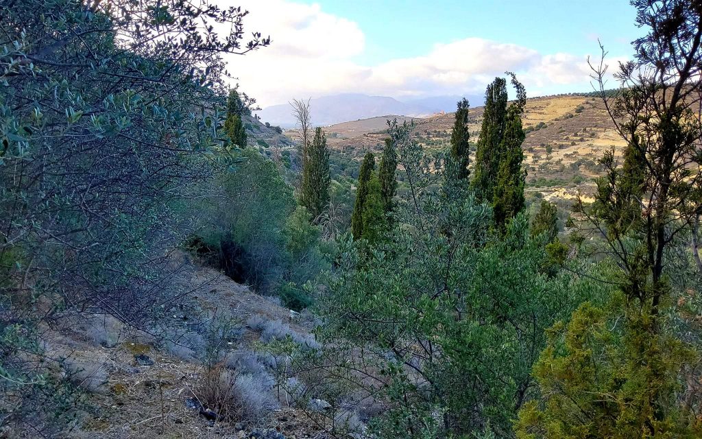 Big Plot for sale in Pitsidia South Crete
