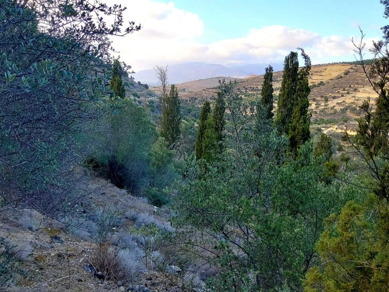 Big Plot for sale in Pitsidia South Crete