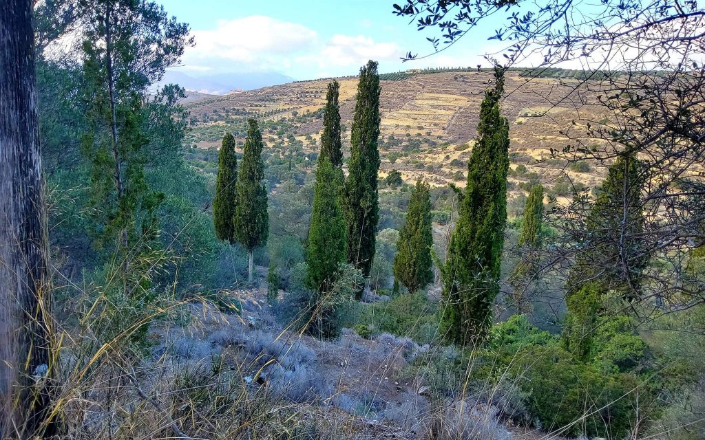 Big Plot for sale in Pitsidia South Crete