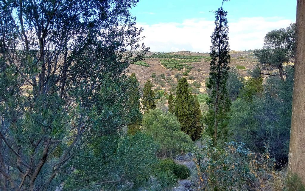 Big Plot for sale in Pitsidia South Crete