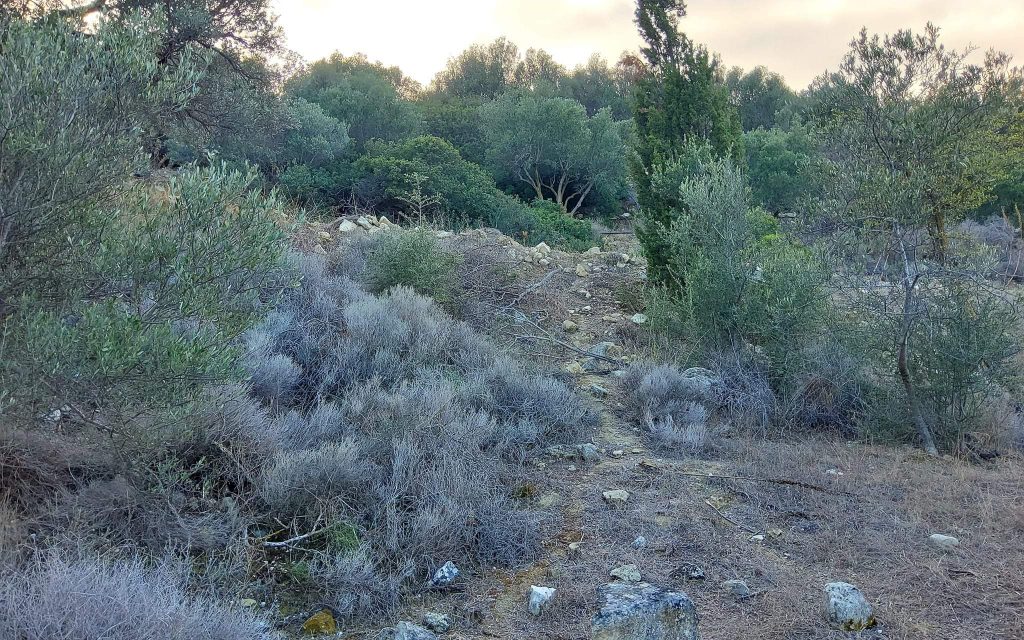 Big Plot for sale in Pitsidia South Crete