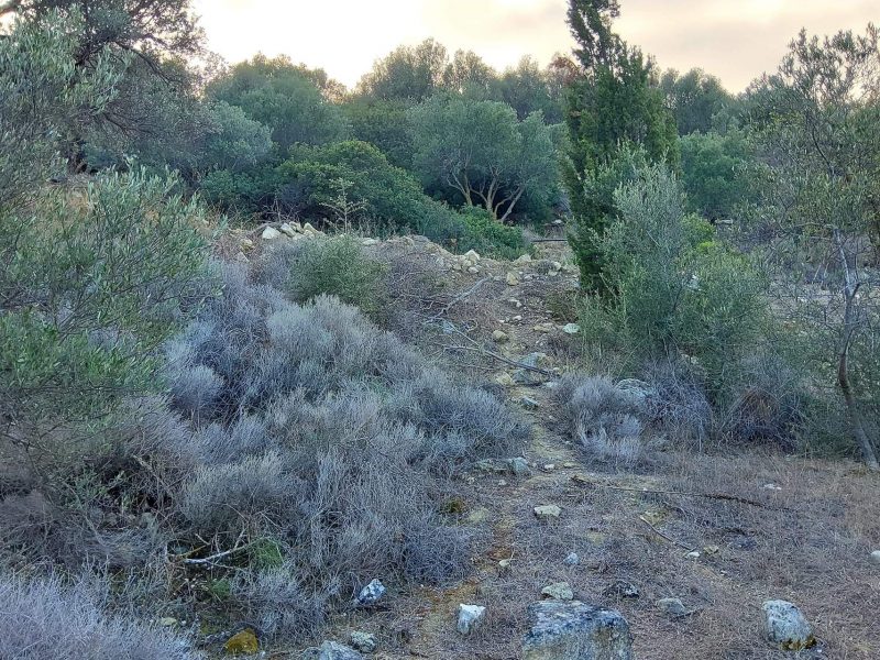 Big Plot for sale in Pitsidia South Crete